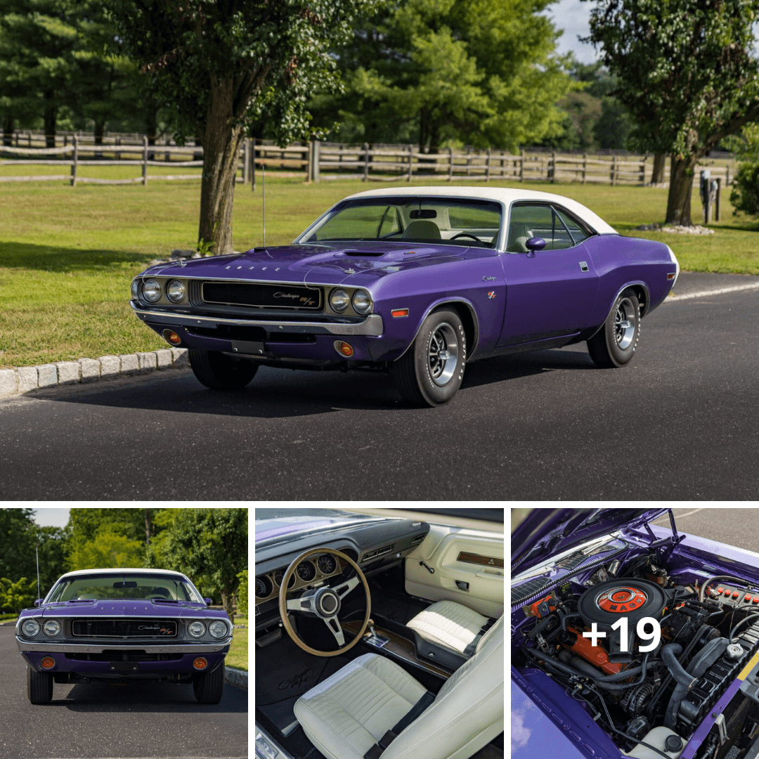 The Timeless Power of the 1970 Dodge Challenger R/T